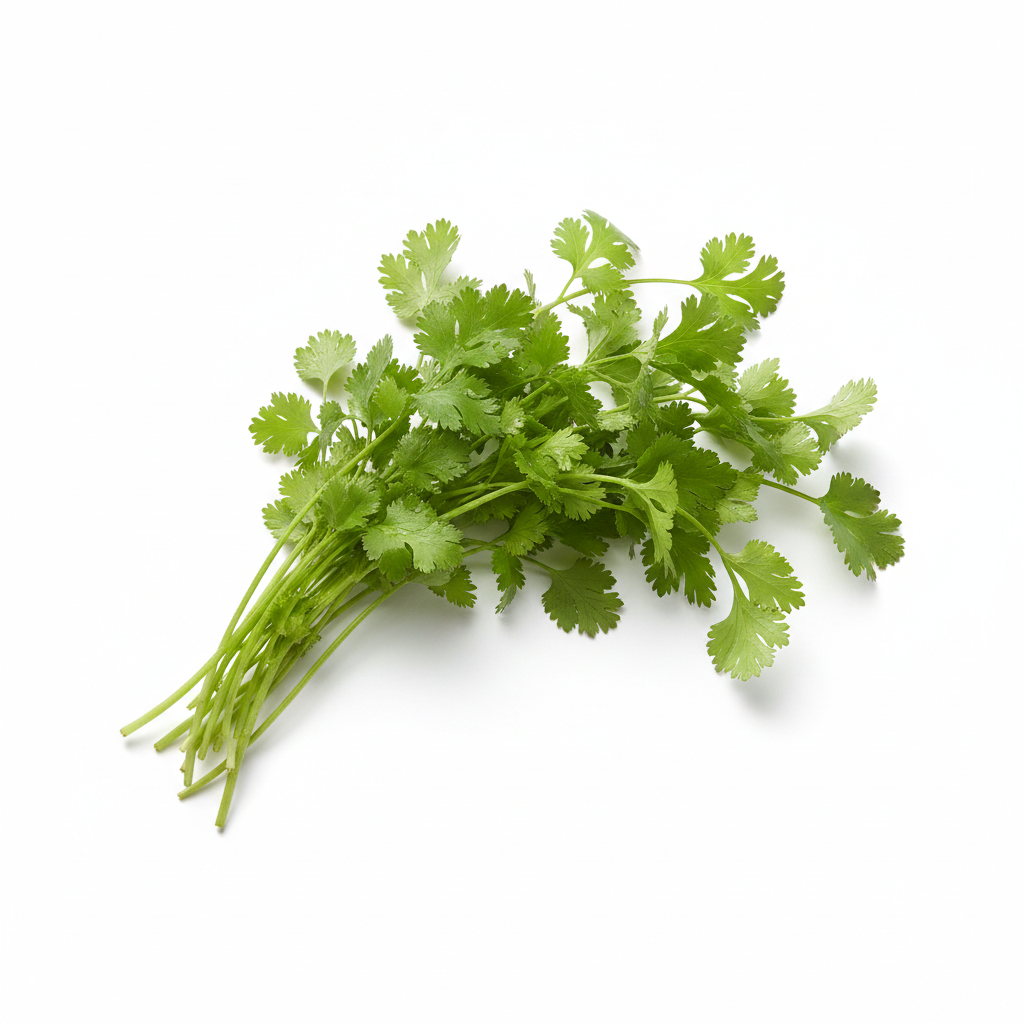 כוסברה טרייה