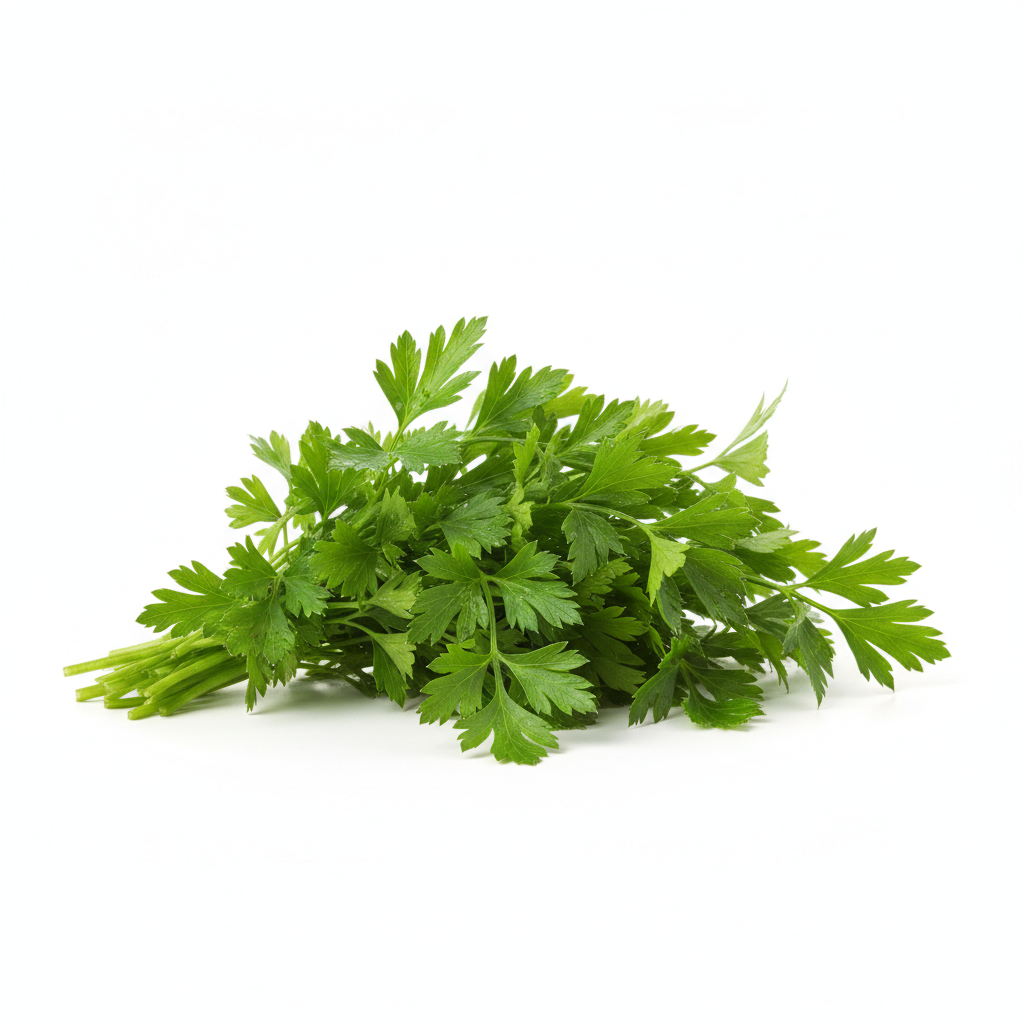 פטרוזיליה טרייה